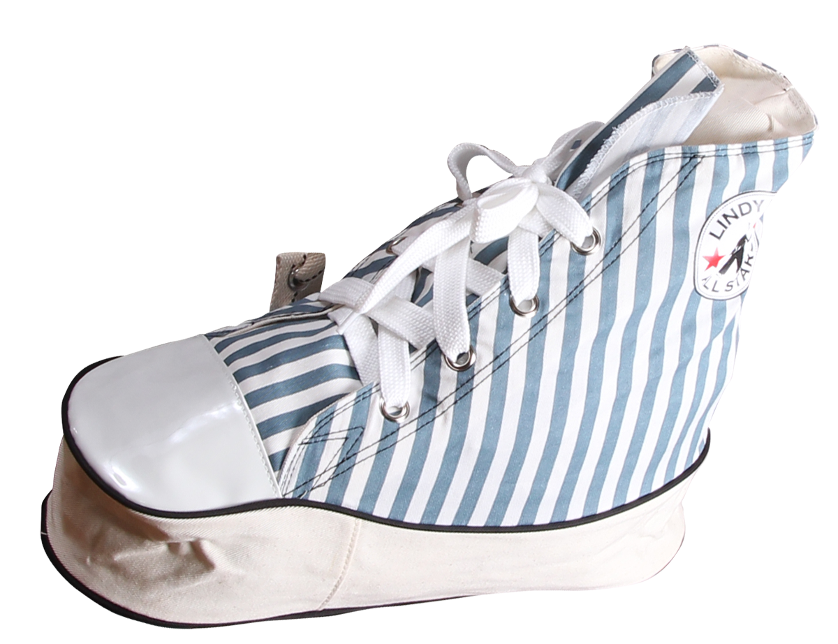 Sneaker Bag (teal, striped)